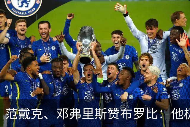 范戴克、邓弗里斯赞布罗比：他极难对付 和卢卡库有相似之处